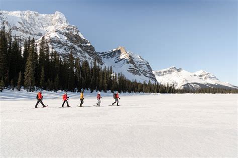 lake louise webcams|48 Amazing Webcams in Banff National Park